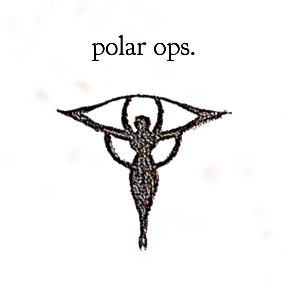 Meet your Posher, Polar